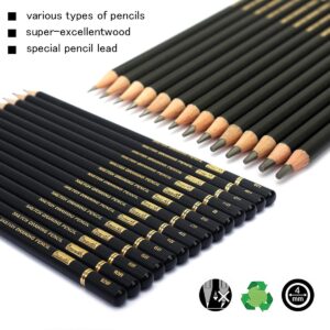 Brusarth Professional Drawing Sketching Pencil Set - 14 Pieces Graphite Pencils, Ideal for Drawing Art, Sketching, Shading, Artist Pencils for Beginners & Pro Artists