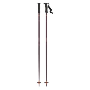 atomic cloud women's ski poles