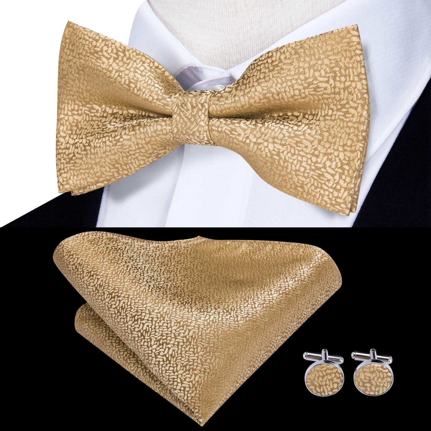 Hi-Tie Men Ties Bowtie Set Silk Necktie Bow Tie Pocket Square Cufflinks Set with Silver Tie Clip or Flower Lapel Pin