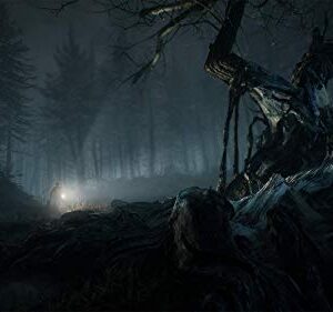 Blair Witch - PlayStation 4