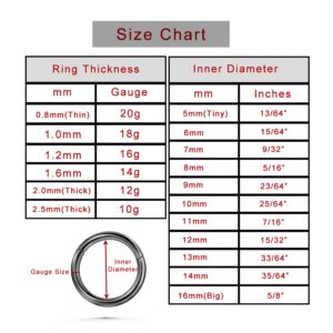 16G Conch Piercing Jewelry CZ Cartilage Earrings Hoop 316L Surgical Steel Nose Hoop 10mm Helix Piercing Jewelry Rook Ring16 Gauge Segment Nose Hoop Ring Segment Helix Rings Earrings Lip Ring Silver