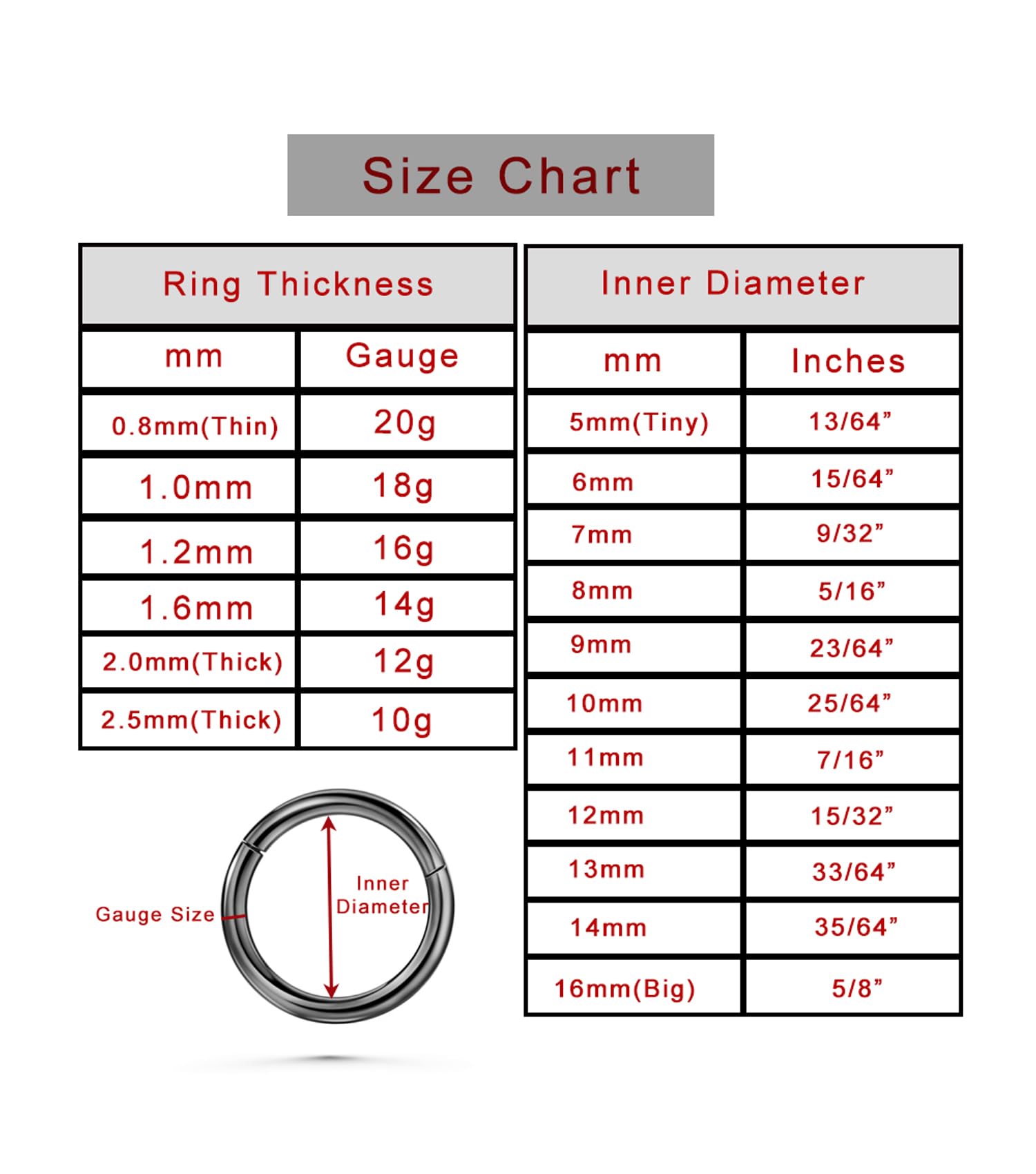 16G Conch Piercing Jewelry CZ Cartilage Earrings Hoop 316L Surgical Steel Nose Hoop 10mm Helix Piercing Jewelry Rook Ring16 Gauge Segment Nose Hoop Ring Segment Helix Rings Earrings Lip Ring Silver