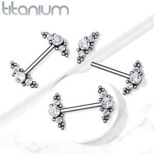 Dynamique Implant Grade Titanium Nipple Barbells With Bezel Set CZ and Micro Ball Cluster Internally Threaded Ends (Sold Per Pair Or Per Piece)