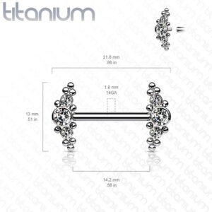 Dynamique Implant Grade Titanium Nipple Barbells With Bezel Set CZ and Micro Ball Cluster Internally Threaded Ends (Sold Per Pair Or Per Piece)