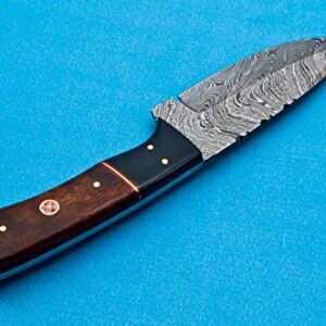 EEAABBR Coustom Handmade Forged Damascus Steel Hunting Knife 100% Handmade Damascus Steel Handle Walnut Wood with Leather Sheath 894