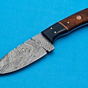 EEAABBR Coustom Handmade Forged Damascus Steel Hunting Knife 100% Handmade Damascus Steel Handle Walnut Wood with Leather Sheath 894