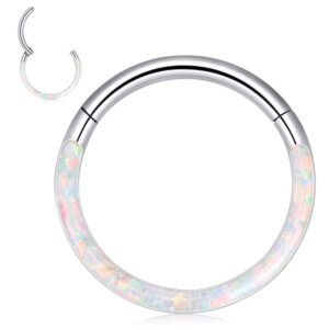 Longbeauty 16G CZ Opal Hinged Segment Nose Rings Hoop 316L Surgical Steel Helix Cartilage Tragus Earrings Septum Clicker Ring 8mm 10mm