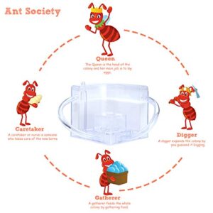 NAVADEAL Sand Ant Farm with Connecting Tubes, Habitat Educational & Learning Science Kit Toy for Kids & Adults - Allows Study of Ecosystem, Behavior of Ants, Explore The World at Home and School