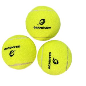 GRANDCOW Beach Tennis POP Paddle Ball Natural Rubber with Great Flex Elasticity (12 Balls)