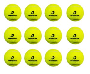 grandcow beach tennis pop paddle ball natural rubber with great flex elasticity (12 balls)