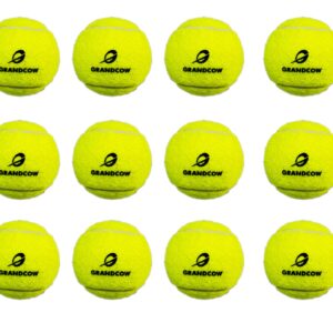 GRANDCOW Beach Tennis POP Paddle Ball Natural Rubber with Great Flex Elasticity (12 Balls)