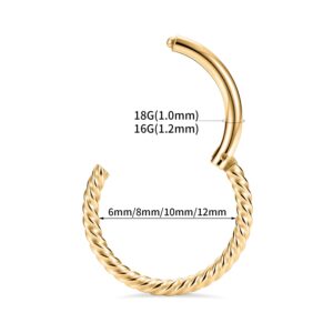 FUNLMO 16g Nose Ring Hoop 316L Surgical Steel Septum Ring Conch Daith Tragus Rook Piercing Jewelry Cartilage Helix Earring Lip Ring 10mm Gold