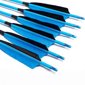 Linkboy Archery Carbon Arrows Hunting Practice Target Arrows Fluorescent Blue with Removable Tip for Compound Recurve Long Bows, Spine 500/32inch, Pack of 12PCS