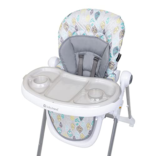 Baby Trend Aspen ELX High Chair, Basil , 22.13 x 34.75 x 42.13 inches (Pack of 1)