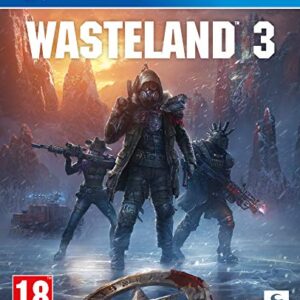 Wasteland 3 - Day One Edition (PS4)