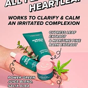 I Dew Care Heartleaf Skincare Set - Kitten My Balance On | Foam Cleanser, Wash-off Mask, Serum For Blemish Skin, With Kaolin, Heartleaf Extract, Gift, Travel Size, Korean Skincare, TSA Friendly Size