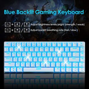 ZIYOU LANG Mechanical Gaming Keyboard and Mouse Combo Blue LED Backlit Keyboard,12000 DPI RGB Lightweight Gaming Mouse with Honeycomb Shell,Large Mouse Pad for Windows Gaming PC(Macaron Green)