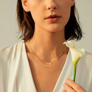 LANE WOODS Paperclip Necklace with Interlocking Circle Pendant: 14K Gold Plated Dainty Link Chain Jewelry for Women