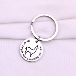 Llama Keychain Never Forget How Llamazing You are Keychain Alpaca jewelry Animal Lover Gift (Llama Keychain)