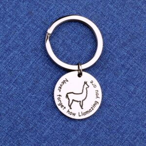 Llama Keychain Never Forget How Llamazing You are Keychain Alpaca jewelry Animal Lover Gift (Llama Keychain)