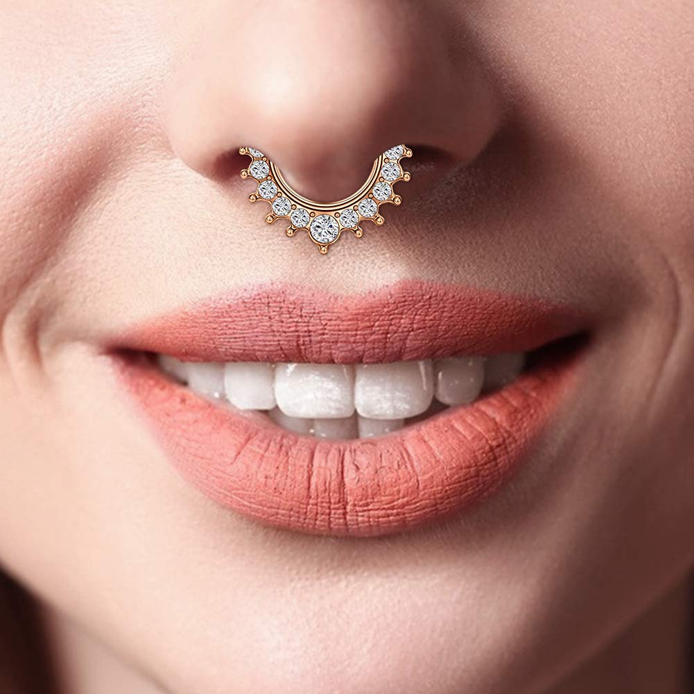 Anicina Pretty Nose Rings 16G Stainless Steel Nose Hoops Cubic Zirconia Septum Clicker Ear Tragus Helix Conch Earring Body Piercing Jewelry