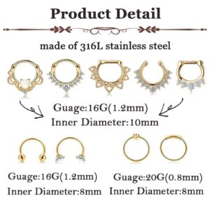 JOERICA 9 Pcs Stainless Steel Septum Hoop Nose Rings Cartilage Daith Earrings Clicker CZ Body Piercing Jewelry