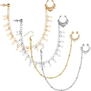 4 Pieces Nose Rings Chain Hoop Chain Fake Nose Ring Chain Non Piercing Nose Rings with Chain Nose to Ear Chain Jewelry Nose Ring Body Jewelry, Gold and Silver