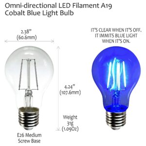 AmeriLuck Cobalt Blue Colored LED Filament A19 Light Bulbs, 40W Equivalent (4W), E26 Medium Base (Blue, 2 Pack)