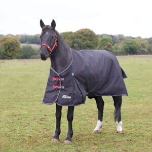 Shires Highlander Plus 200G Standard Neck Blanket Black 78"