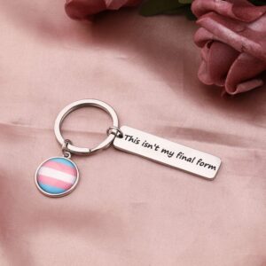 BAUNA LGBTQ Transgender Pride Key Chain Trans Flag Gift This Isn’t My Final Form Gay Pride Jewelry Gift (Transgender Keychain)