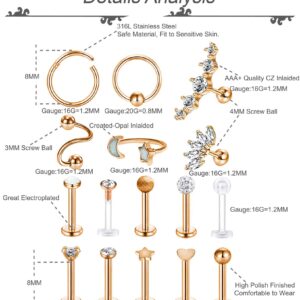 REVOLIA 16 Pcs 16G Stainless Steel Tragus Earring Cartilage Helix Single Earring Lip Rings Labret Studs Daith Rook Piercing Rose-gold