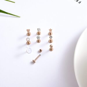 REVOLIA 16 Pcs 16G Stainless Steel Tragus Earring Cartilage Helix Single Earring Lip Rings Labret Studs Daith Rook Piercing Rose-gold