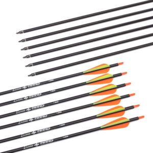 Hunter Ian Archery Carbon Arrow Hunting Arrows 28 Inch with 100 Grian Removable Tips for Compound Bow & Recurve Bow Practice Shooting (Pack of 12)