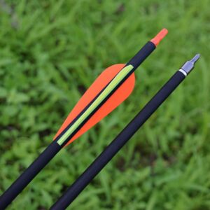 Hunter Ian Archery Carbon Arrow Hunting Arrows 28 Inch with 100 Grian Removable Tips for Compound Bow & Recurve Bow Practice Shooting (Pack of 12)