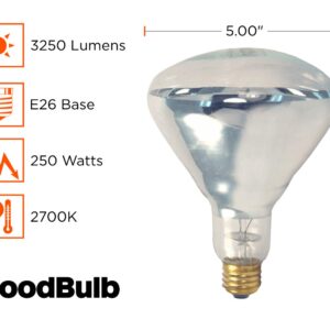 GoodBulb 25O-Watt Heat Lamp BR40 Light Bulbs | Incandescent Restaurant Bulb with E26 Medium Base | 2700K Warm White Light Color | 3250 Lumens (Pack of 10 Bulbs)