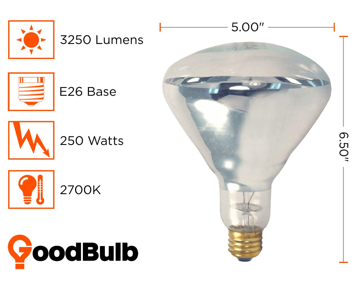 GoodBulb 25O-Watt Heat Lamp BR40 Light Bulbs | Incandescent Restaurant Bulb with E26 Medium Base | 2700K Warm White Light Color | 3250 Lumens (Pack of 10 Bulbs)