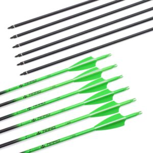 Carbon Arrows 28 Inch Targeting Practice Hunting Arrow Fluorescence Color for Compound Bow and Recurve Bow with 100 Grain Removable Tips (Pack of 12)