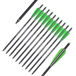 Crossbow Bolts Carbon Arrows 20 Inch Hunting Archery Bio Crossbow Arrows with Moon Nocks 100 Grain Removable Tips (Pack of 12)