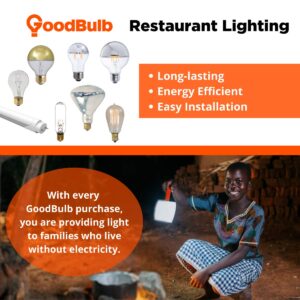 GoodBulb 25O-Watt Heat Lamp BR40 Light Bulbs | Incandescent Restaurant Bulb with E26 Medium Base | 2700K Warm White Light Color | 3250 Lumens (Pack of 10 Bulbs)