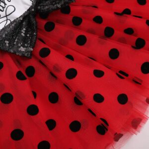 It’s My 1st/2nd Birthday Outfit Toddler Baby Girl ONE Party Tutu Dress for Kids Half/First Onesie Crown Infant Skirt Sets for Photo Props Costume Ladybug-My 1st Birthday 1Y