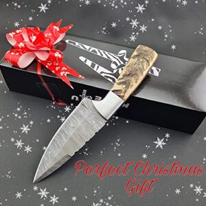 Knife4U Damascus Hunting Knife With Sheath|8"Best Camping,Hiking,Tactical,Survival Knife For Men|EDC Bushcraft Accessories Tool|Sharp Blade With Natural Handle And Knife Display Box (Rams Horn)