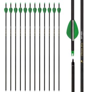 Zhao.Fu 29 Inch Carbon Arrow Practice Hunting Arrows Spine 400 with Removable Tips for Archery Compound & Recurve & Traditional Bow (12 Pcs)