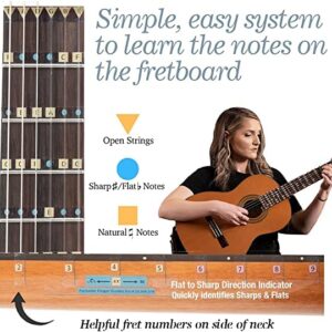 Fantastic Finger Guide for Classic Guitar | Guitar Accessories | Fretboard and Fingerboard Stickers | Guitar Learning Tools | Guitar Stickers | Learn to Play Guitar | Frets 1-20