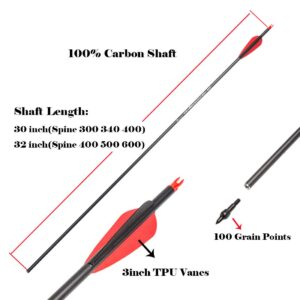 Pinals Archery 300 340 400 Spine Carbon Arrows for Compound Bows Traditional Recurve Bow Longbow 30 Inch Shafts Hunting Target Arrow 12PCS Spine 300