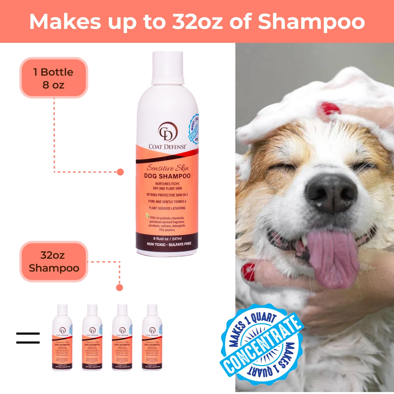 COAT DEFENSE CD Shampoo from All-Natural - Made in USA - Hypoallergenic & Concentrated | Aloe Based - Soothes and Relieves Itchy, Dry and Inflamed Skin | Safe for Everyone | 8 Ounces