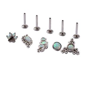 CHUANCI Set Surgical Steel 16G Opal Nose Piercing Ring Cluster Ear Tragus Helix Cartilage Septum Clicker Daith Earring Labret Piercing (Style A 6PCS/Lot)