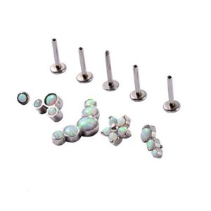 CHUANCI Set Surgical Steel 16G Opal Nose Piercing Ring Cluster Ear Tragus Helix Cartilage Septum Clicker Daith Earring Labret Piercing (Style A 6PCS/Lot)