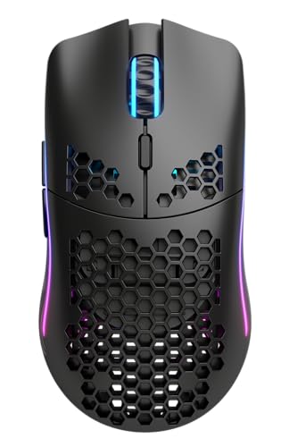 Glorious Mouse (Matte Black)