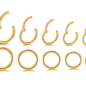 16G Surgical Steel Hinged Clicker Segment Nose Rings Hoop Helix Cartilage Daith Tragus Sleeper Earrings Body Piercing for women (16G - Gold - (6mm-14mm) - 10Pcs)