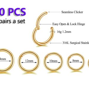 16G Surgical Steel Hinged Clicker Segment Nose Rings Hoop Helix Cartilage Daith Tragus Sleeper Earrings Body Piercing for women (16G - Gold - (6mm-14mm) - 10Pcs)